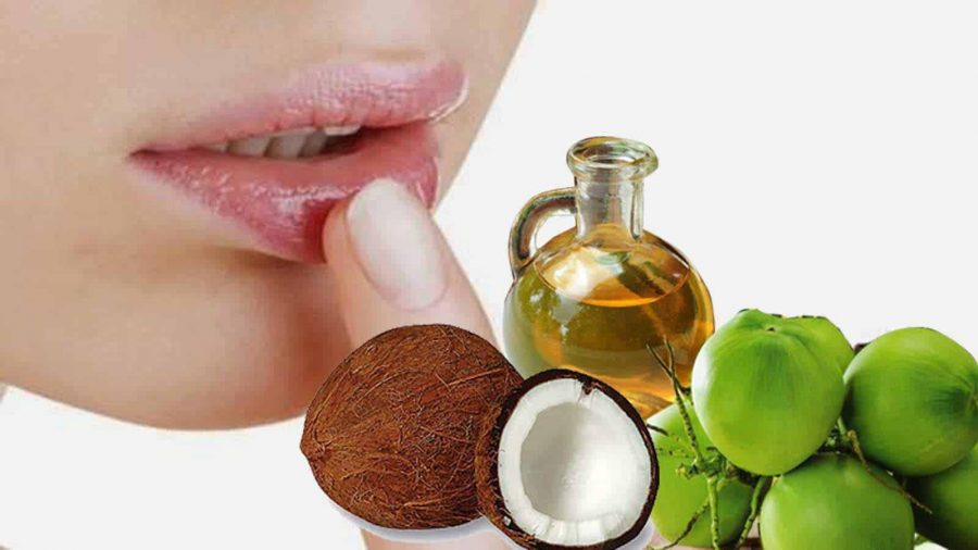Dầu dừa có công dụng dưỡng và làm hồng môi